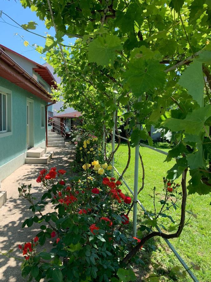 Casa Pestelui Hotel Două Mai Kültér fotó