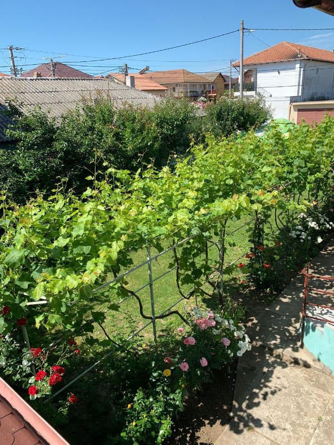 Casa Pestelui Hotel Două Mai Kültér fotó